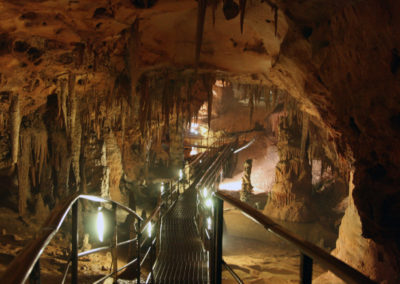 Grotta del FIco